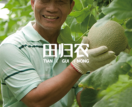 田归农有机蔬菜-农产品