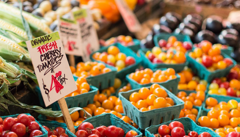 生鲜品品牌策划设计