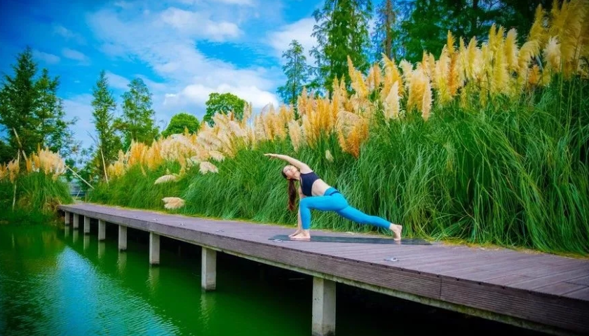 康养品牌策划设计