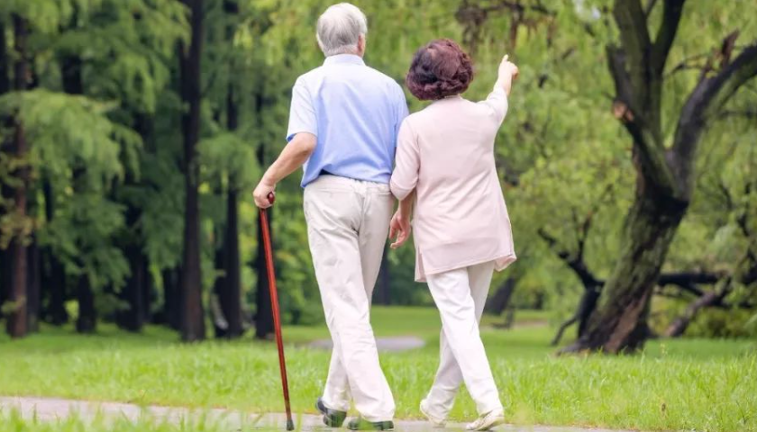 康养品牌策划设计