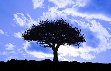 在进行logo标志设计时候基本要点要掌握以下几点