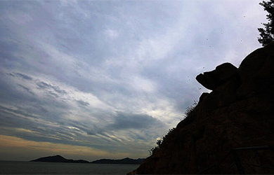 公司品牌策划推广如何进行以下告诉你