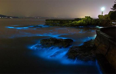 优秀的logo标志设计需要遵循哪些原则？