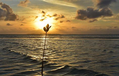 如何选择一个非常好的品牌策划公司