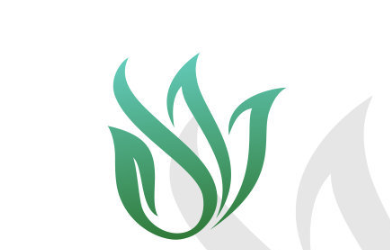 专业的品牌设计公司可以合理的提升公司的品牌形象