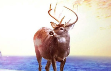 上海广告公司注册手续以及帮扶政策