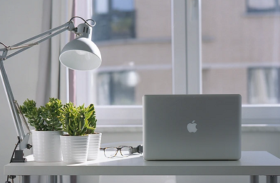 对未来品牌策划风向的基本预测