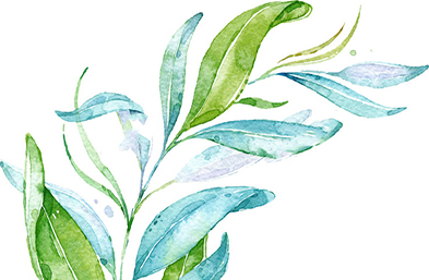 品牌策划中品牌延伸的内涵