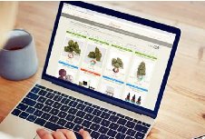 品牌设计的概念以及分类有哪些？