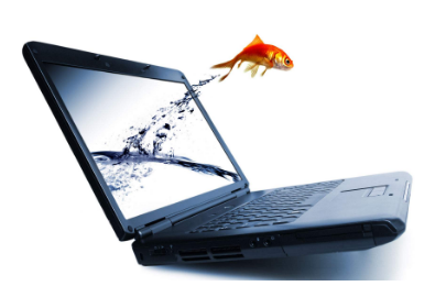 如何通过品牌策划让自己的产品卖点更加突出？