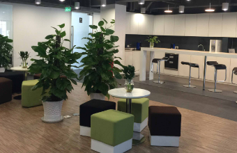 品牌策划公司：激发创意，引领品牌新时代