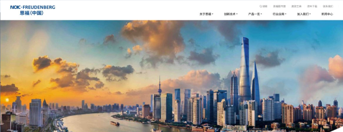 《恩福-中国》网站建设-蔚派VPA品牌数字化