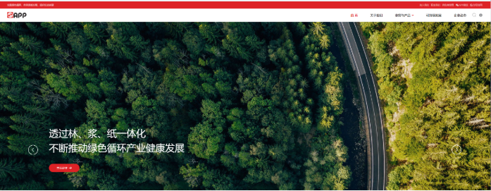 《金光集团》网站建设-蔚派VPA品牌数字化