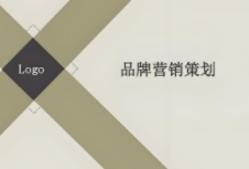 明确且有效的品牌营销策划对于企业的发展至关重要