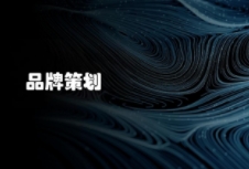 品牌策划的内涵、重要性、实施步骤以及成功案例