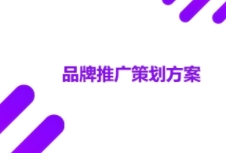 如何进行有效的品牌策划吸引消费者，提高市场份额？