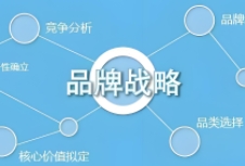 品牌战略规划的重要性、核心要素以及实施步骤，为企业提供有益的指导