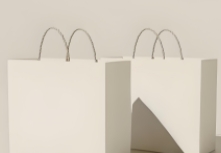 品牌设计已经成为企业区分自身与竞争对手、吸引消费者注意力的重要手段