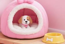 上海品牌策划公司如何助力宠物用品品牌崛起