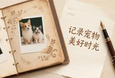 如何选择专业的品牌策划公司？企业决策指南